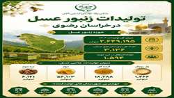 تولیدات زنبور عسل در خراسان رضوی